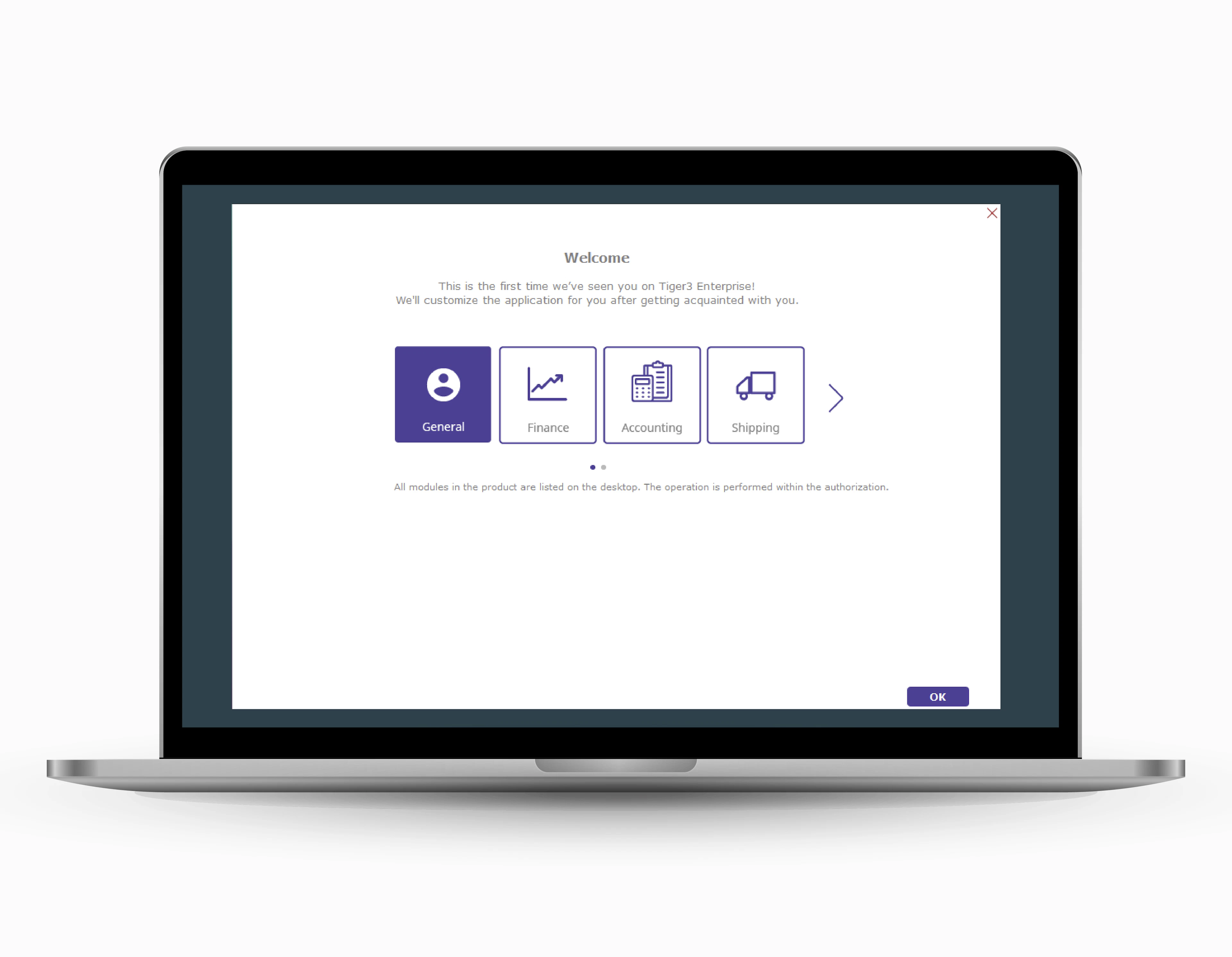 screenshot of Logo Tiger Solutions